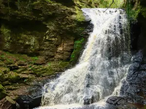 Hareshaw Linn Waterfall