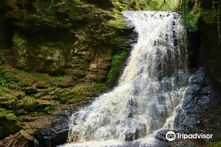 Hareshaw Linn Waterfall