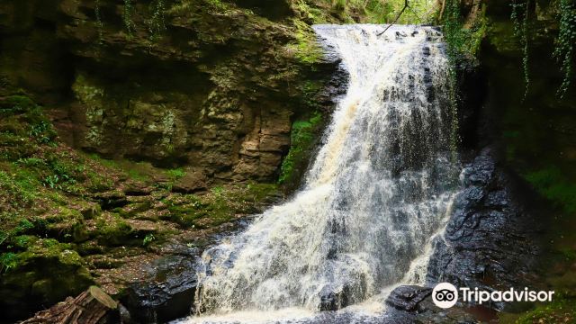 Start of 3 mile round walk to Hareshaw Linn