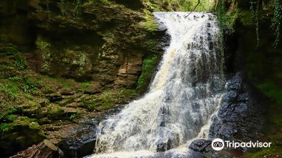 Start of 3 mile round walk to Hareshaw Linn