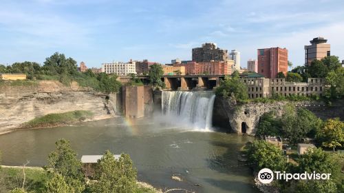 Genesee River's High Falls