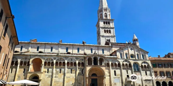 摩德納主教座堂