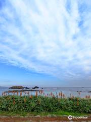 Tsumekizaki Tawara Iso Beach