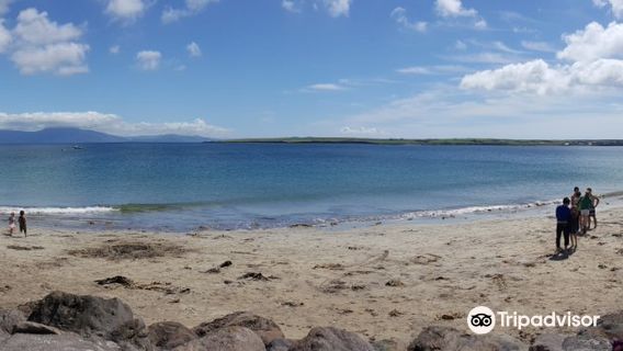 Ventry Bay Beach