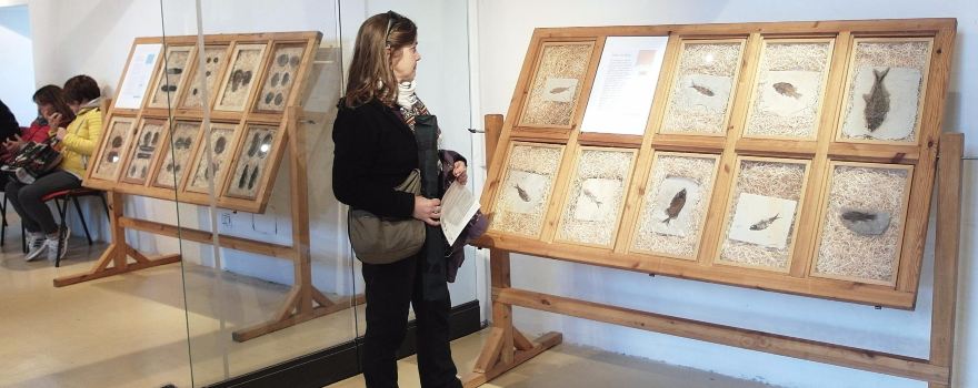 Museo Del Fiume
