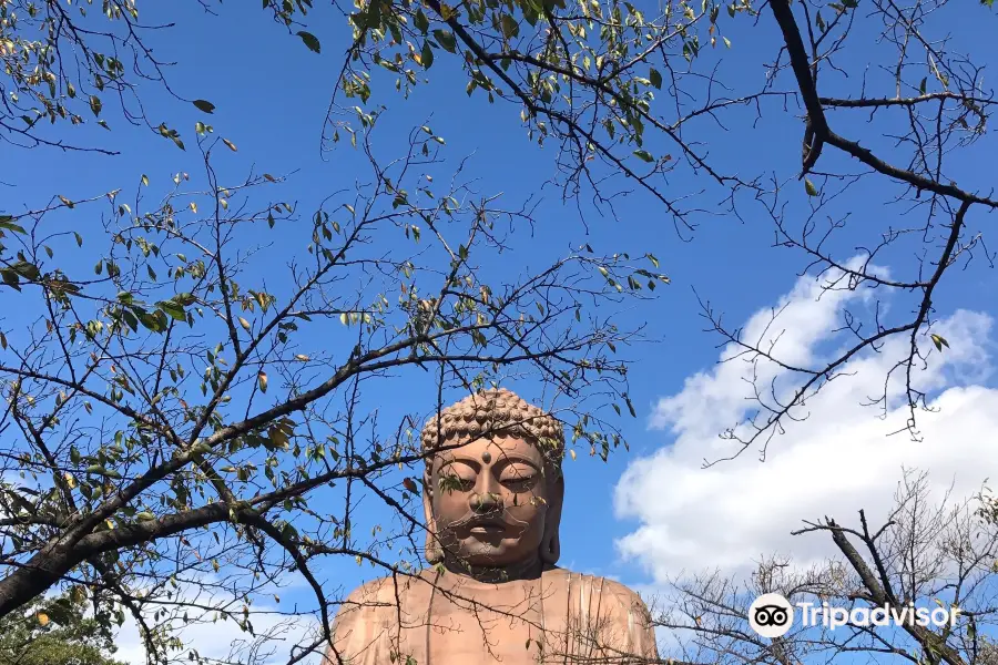 Great Buddha of Shuurakuen