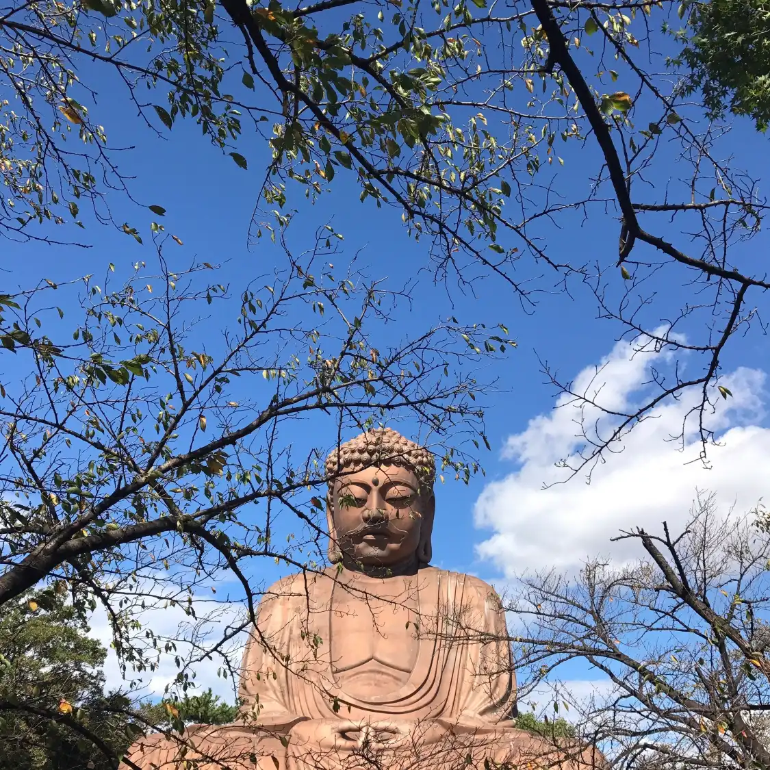 Отели рядом с достопримечательностью «Daibutsu in Shurakuen»