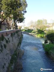 Via Canale Albani