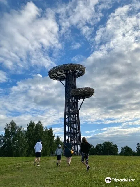 3_Rõuge watchtower "Pesapuu"