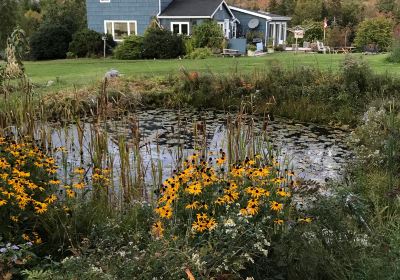 Old Miller Trout Farm