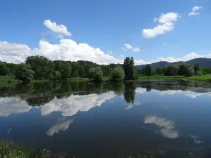 The Ponds Edge of the Loire