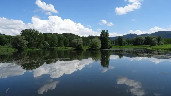 The Ponds Edge of the Loire