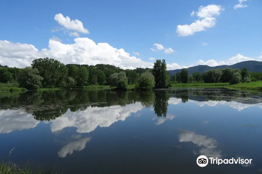 Les Etangs du Bord de Loire