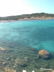 Spiaggia di Cala Andreani