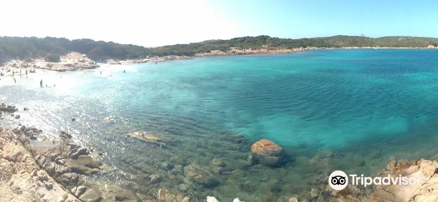 Cala Andreani