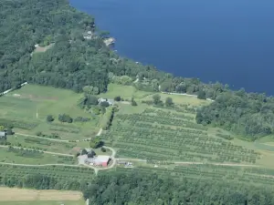 Shelburne Orchards