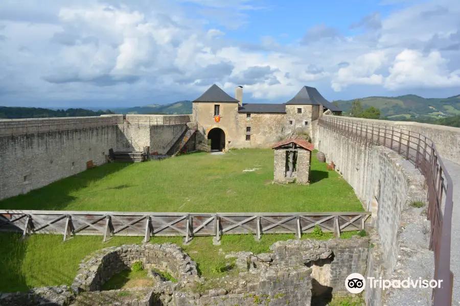 Castle-fort de Mauleon