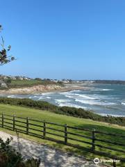 Maenporth to Swanpool Path Walk