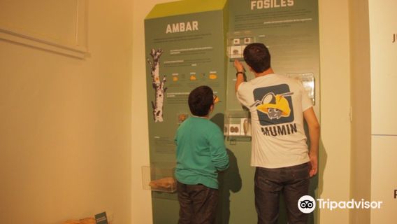 Museo de Minerales - MUMIN