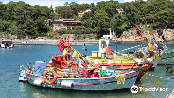 Presqu'île de Giens