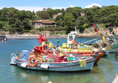 Giens Peninsula