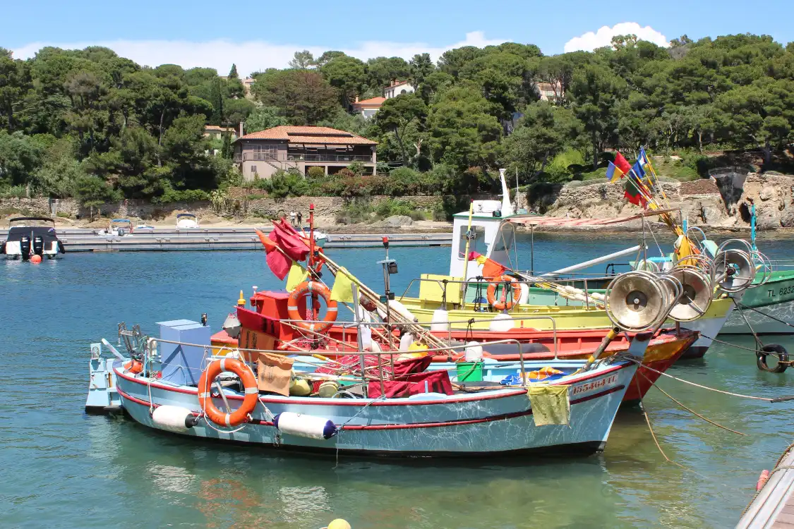 Hotels near Giens Peninsula
