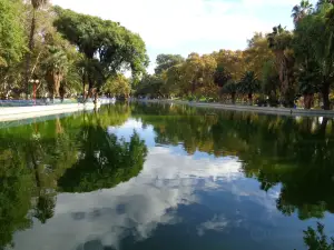 Парк Майо де Сан-Хуан