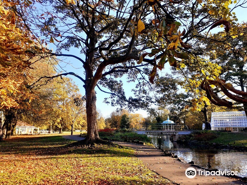 Pearson Park