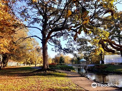 Pearson Park