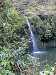 Haipua'ena Falls