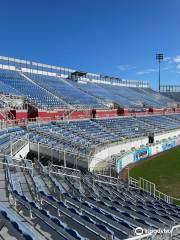 FAU Stadium