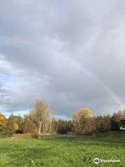 Bergse Bos