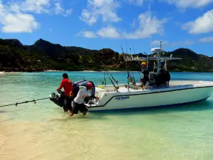 Grenadines Fishing