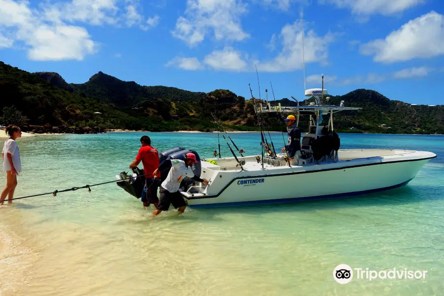 GRENADINES FISHING