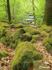 Soderasens National Park