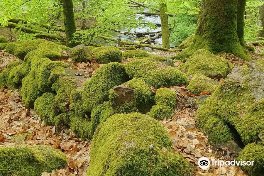 Soderasens National Park