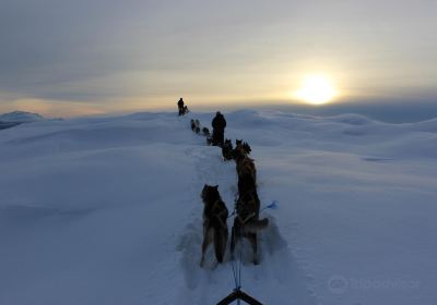 Active Tromsø