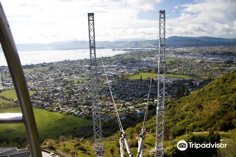 Skyswing Rotorua