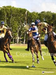 Barbados Polo Club