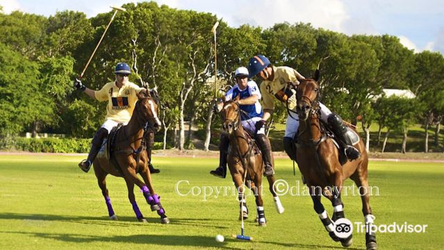 Barbados Polo Club