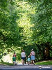 Castlecomer Discovery Park