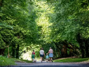 Castlecomer Discovery Park