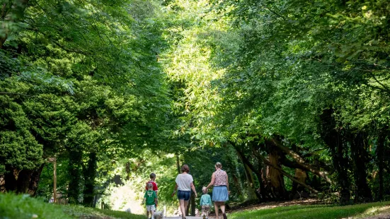 Castlecomer Discovery Park