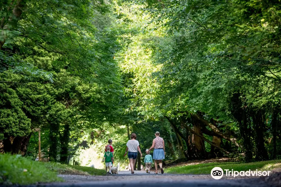 Castlecomer Discovery Park