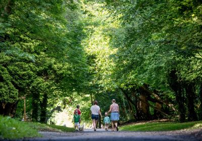 Castlecomer Discovery Park