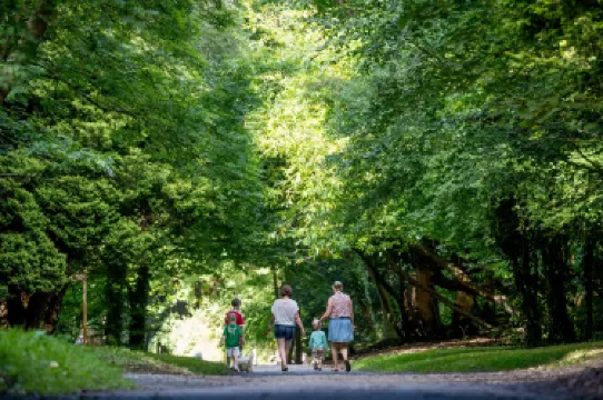 Castlecomer Discovery Park