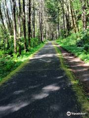 L.L. Stub Stewart State Park