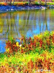 Lake Manawa Beach