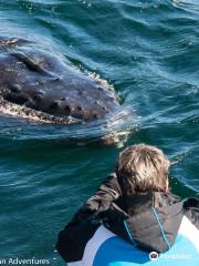 Albany Ocean Adventures