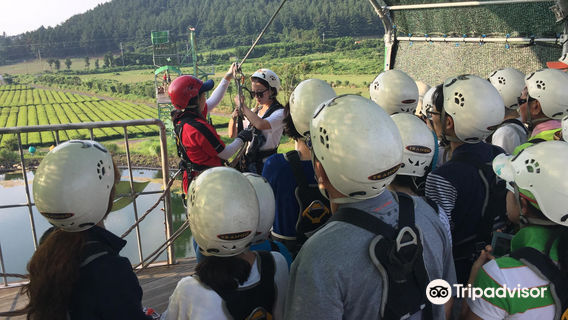 Jeju zipline